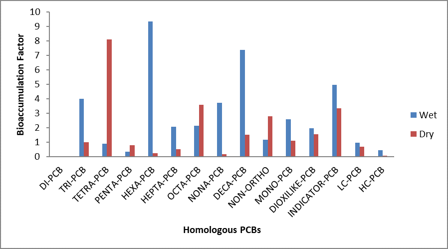 Sediment-based Bioaccumulation Factor (SBF) for Oreochromis niloticus across the seasons.