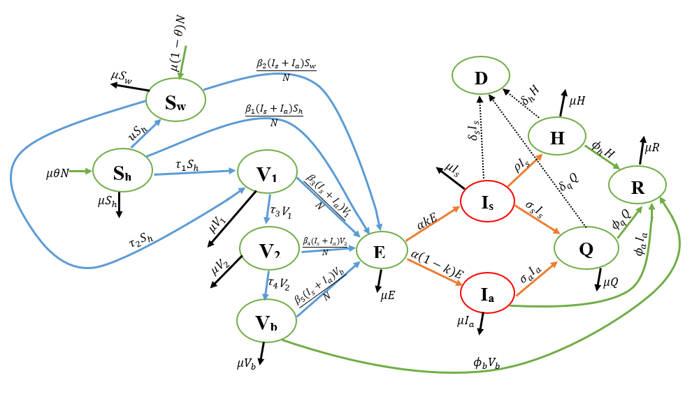 Epidemiological interaction dynamics of the COVID-19 SSVEIHQR model.