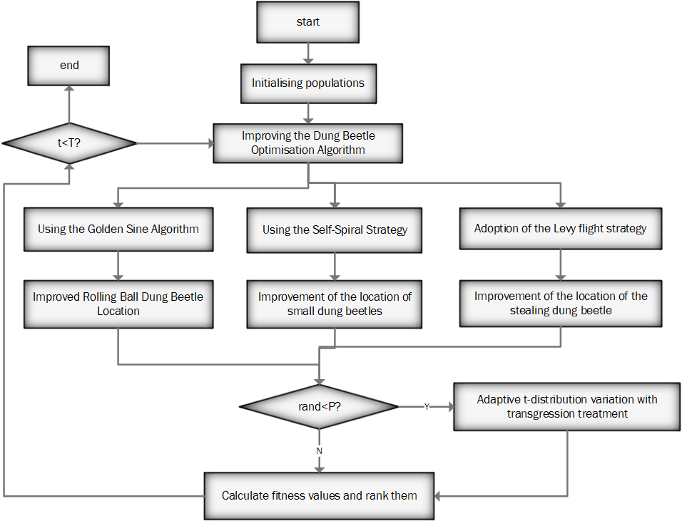 Flowchart of CDBO algorithm.