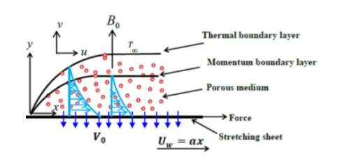 Schematic diagram of the flow