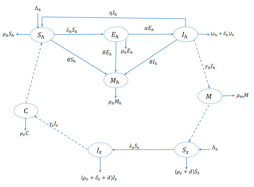 Schematic diagram of the schistosomiasis model.