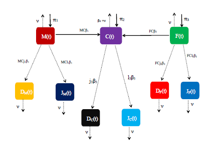 FIG1